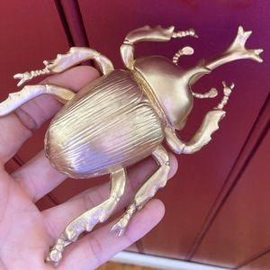 Beautiful gold scarib beetle